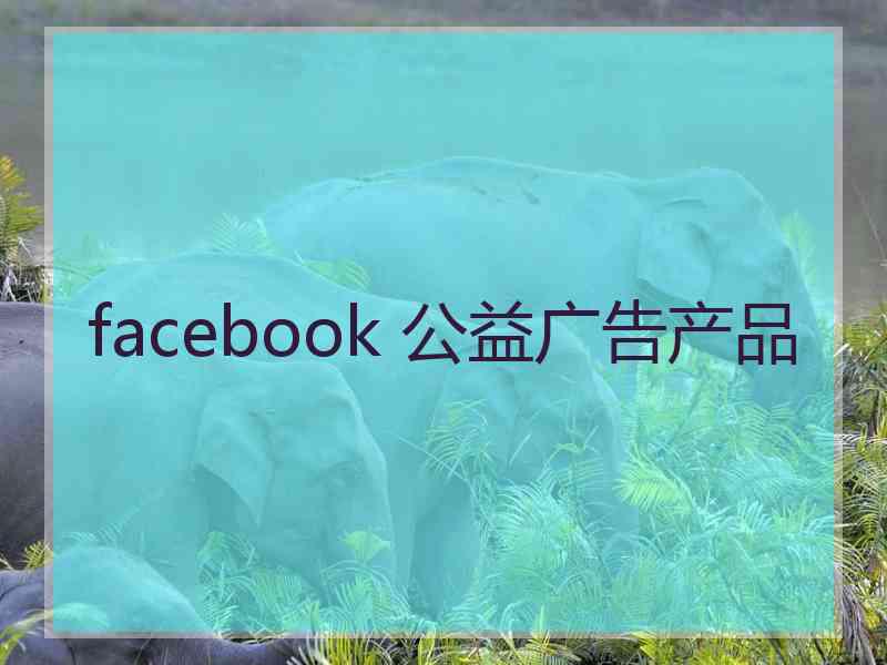 facebook 公益广告产品