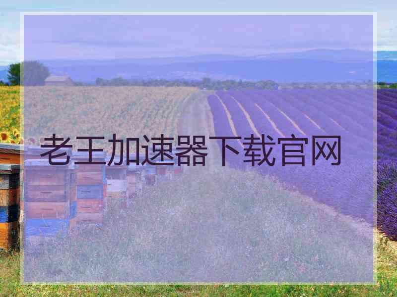 老王加速器下载官网