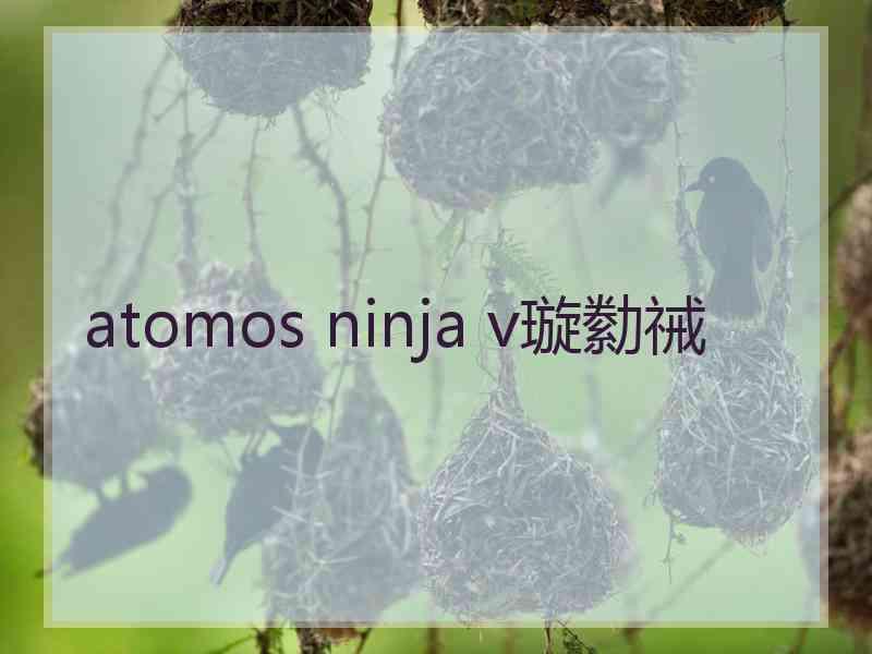 atomos ninja v璇勬祴