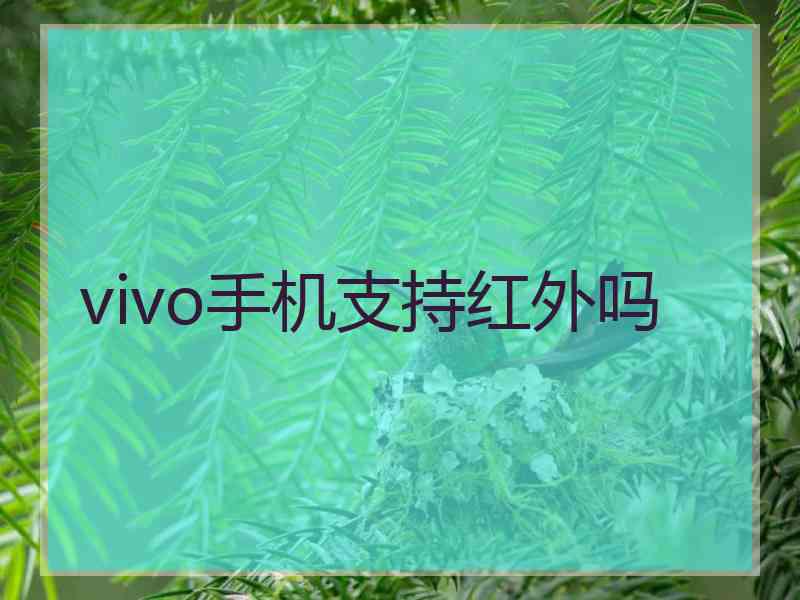 vivo手机支持红外吗