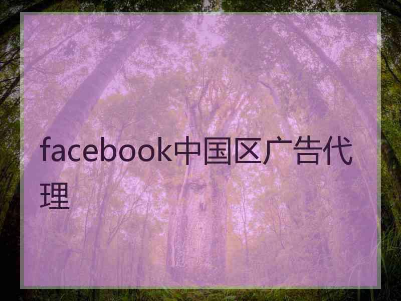 facebook中国区广告代理