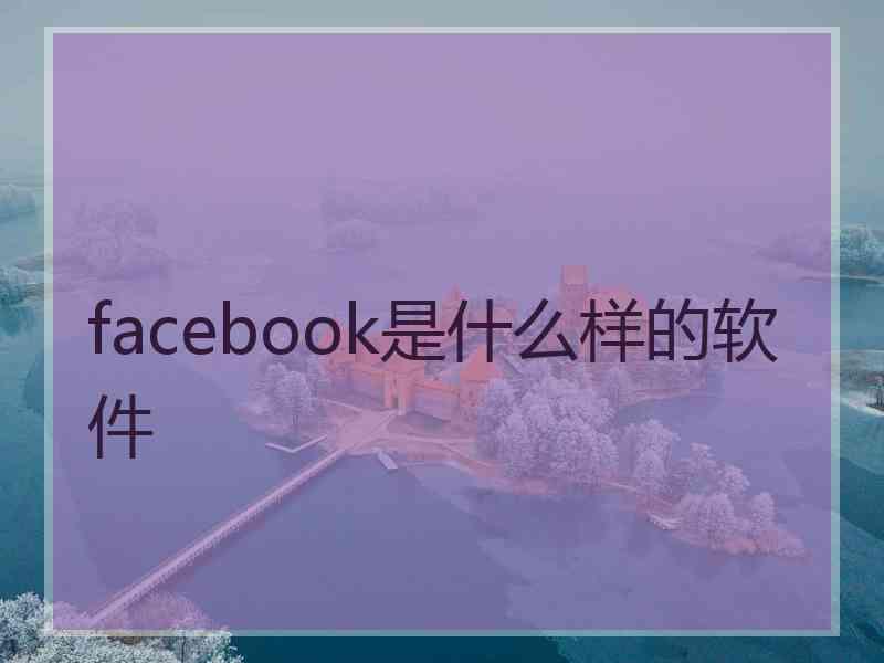 facebook是什么样的软件