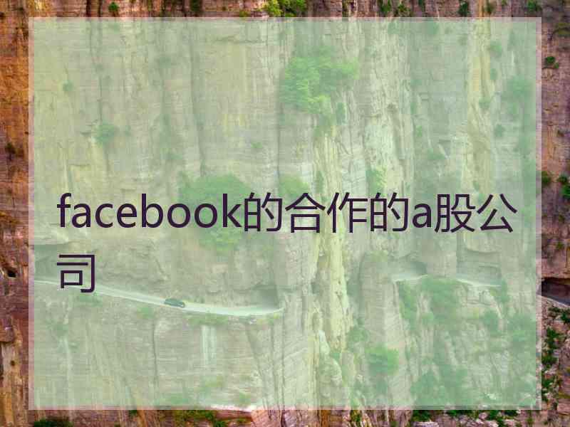 facebook的合作的a股公司