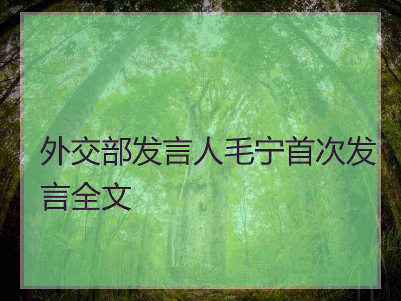 外交部发言人毛宁首次发言全文