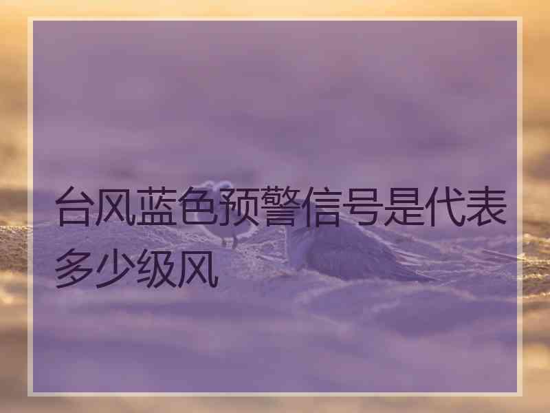 台风蓝色预警信号是代表多少级风