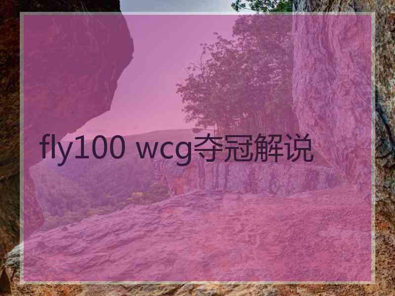 fly100 wcg夺冠解说