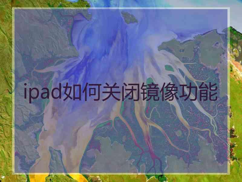 ipad如何关闭镜像功能