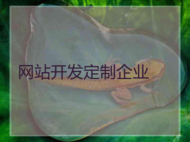 网站开发定制企业