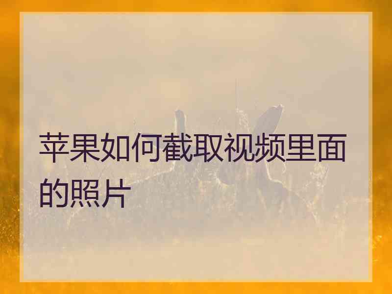 苹果如何截取视频里面的照片