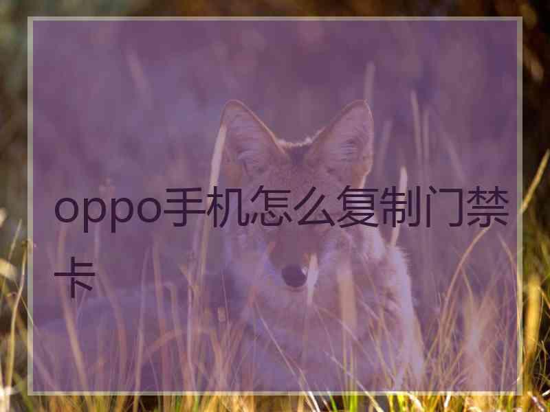 oppo手机怎么复制门禁卡