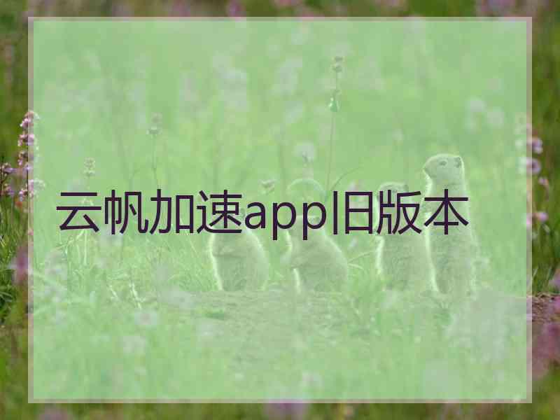 云帆加速app旧版本