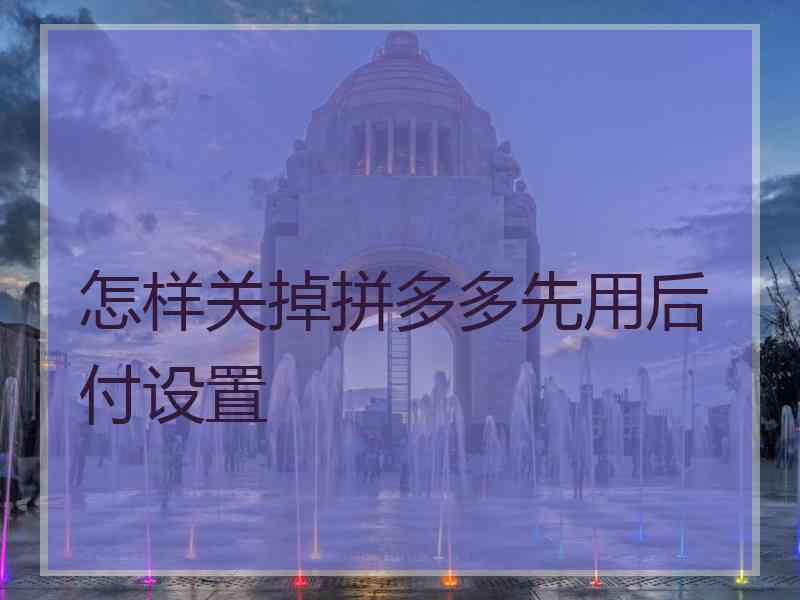 怎样关掉拼多多先用后付设置