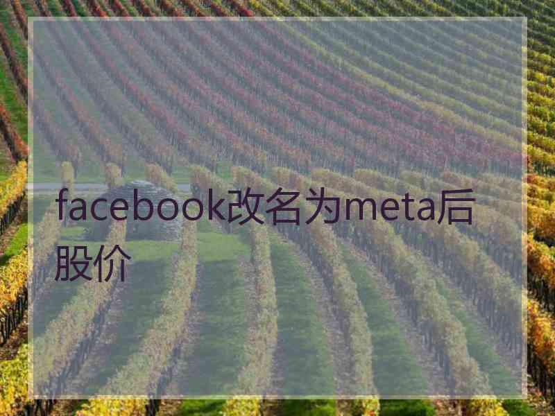 facebook改名为meta后股价