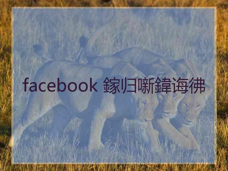 facebook 鎵归噺鍏诲彿