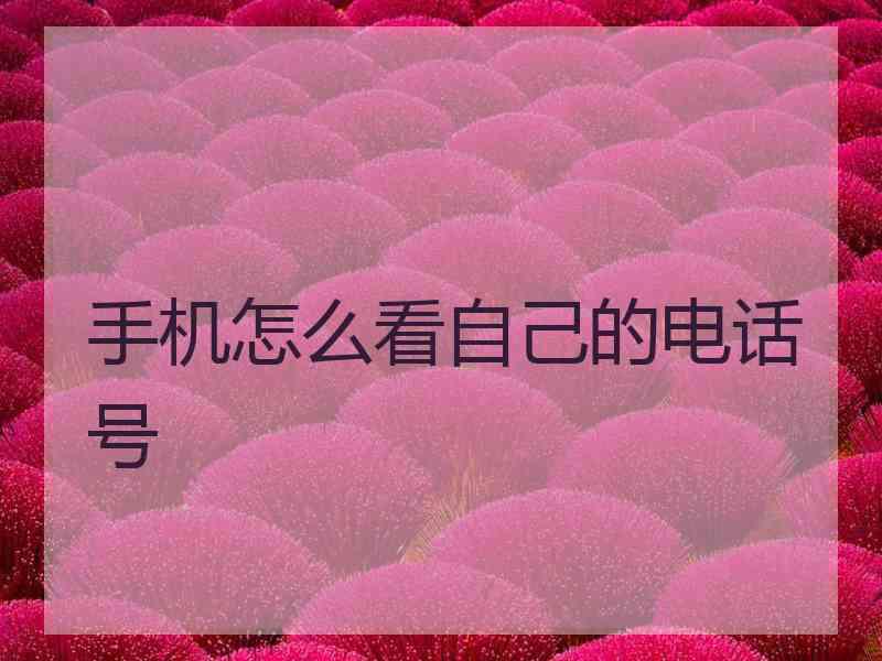 手机怎么看自己的电话号