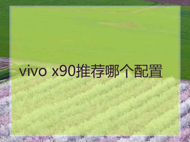 vivo x90推荐哪个配置