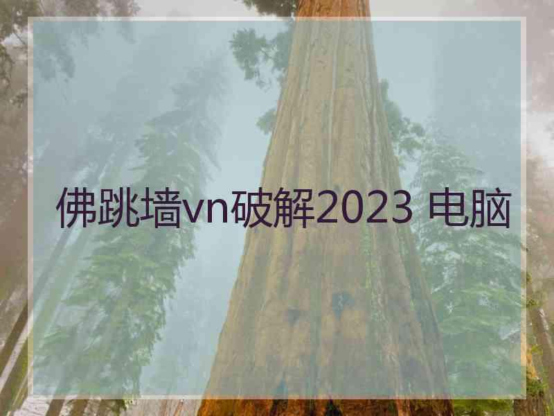 佛跳墙vn破解2023 电脑