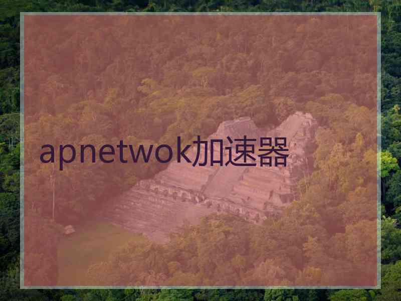 apnetwok加速器