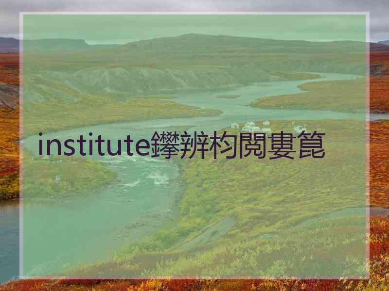 institute鑻辨枃閲婁箟