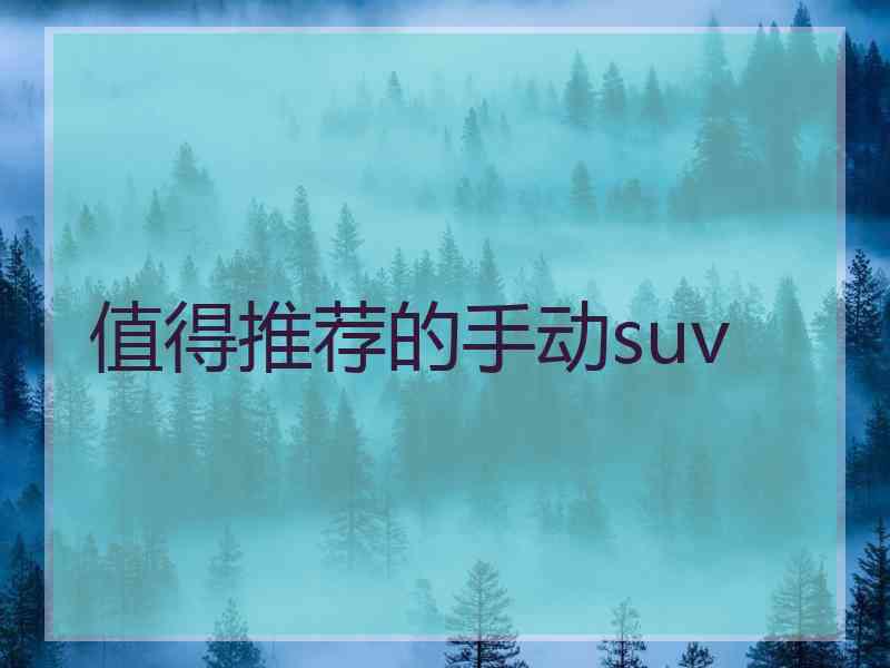 值得推荐的手动suv