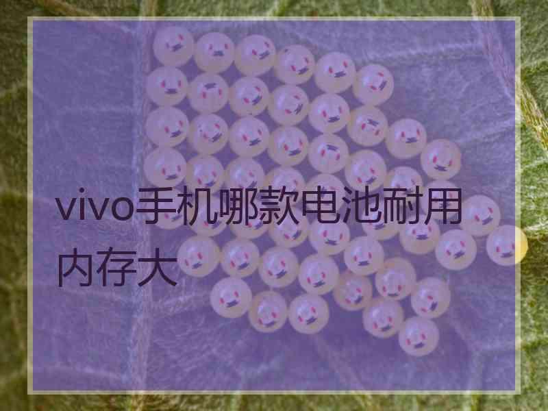 vivo手机哪款电池耐用内存大