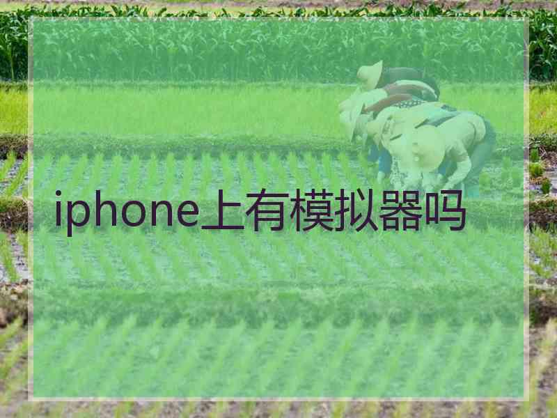 iphone上有模拟器吗