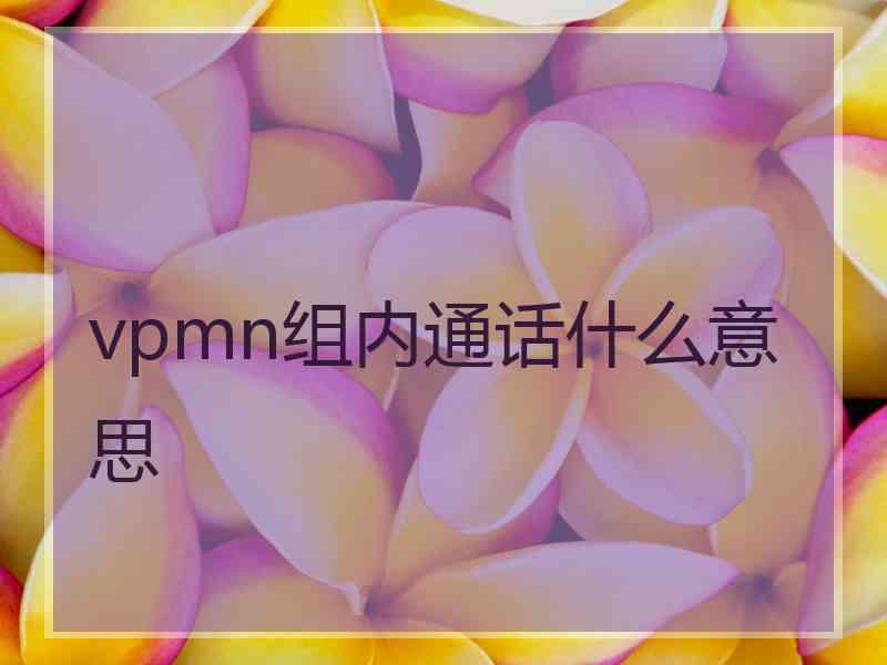 vpmn组内通话什么意思