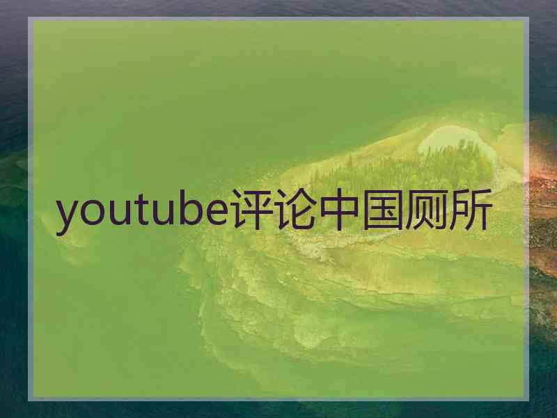 youtube评论中国厕所