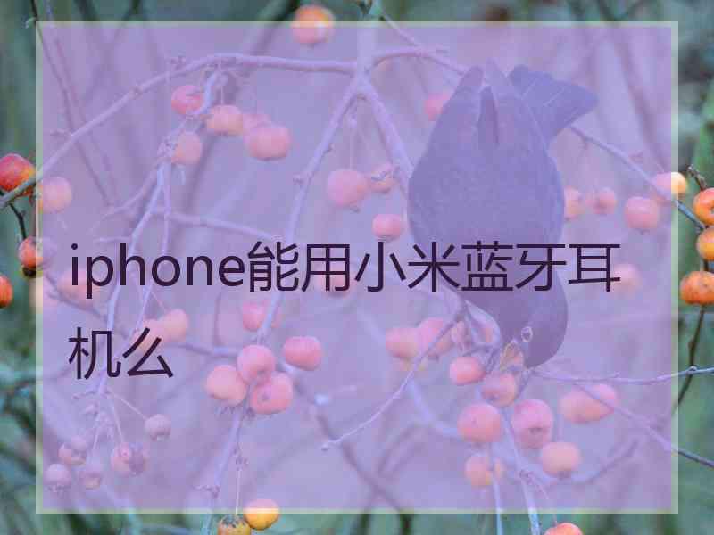 iphone能用小米蓝牙耳机么