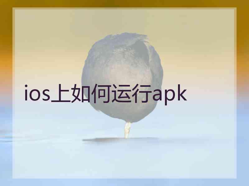 ios上如何运行apk