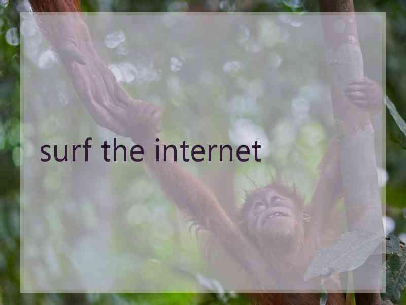 surf the internet