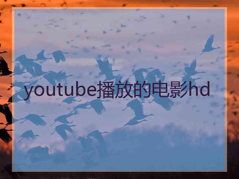 youtube播放的电影hd