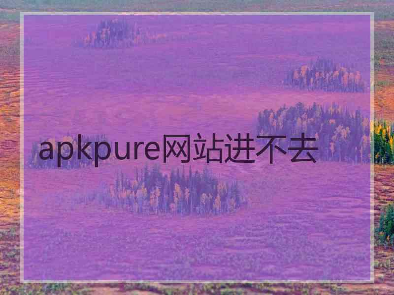 apkpure网站进不去