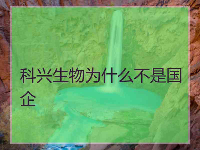 科兴生物为什么不是国企