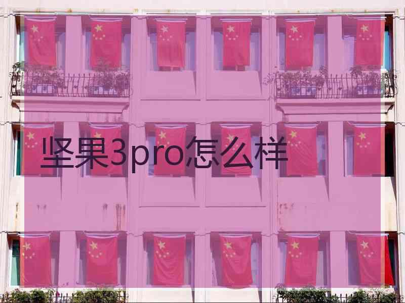 坚果3pro怎么样