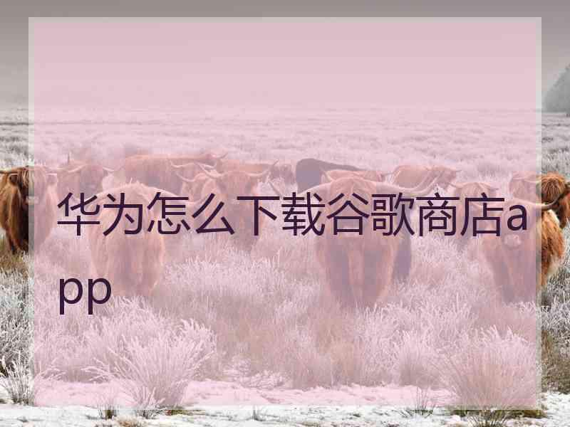 华为怎么下载谷歌商店app