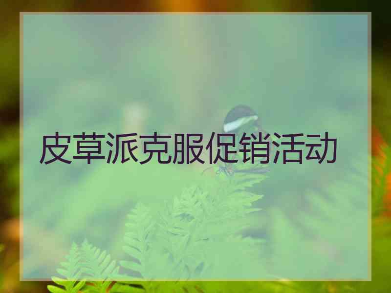 皮草派克服促销活动