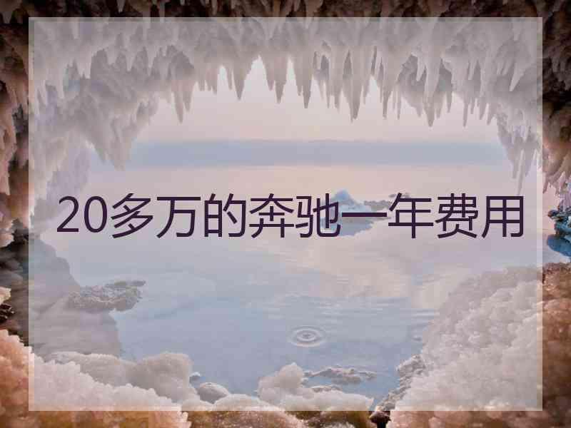 20多万的奔驰一年费用