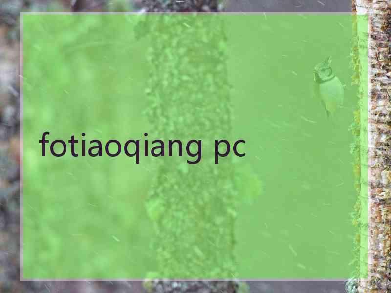 fotiaoqiang pc