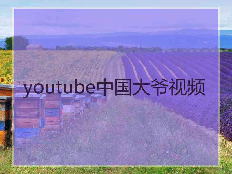 youtube中国大爷视频