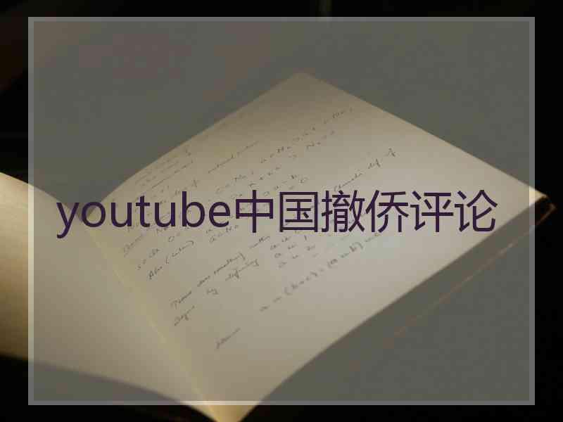 youtube中国撤侨评论