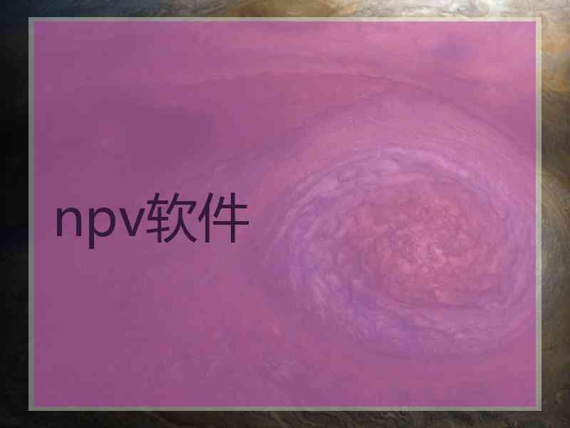 npv软件