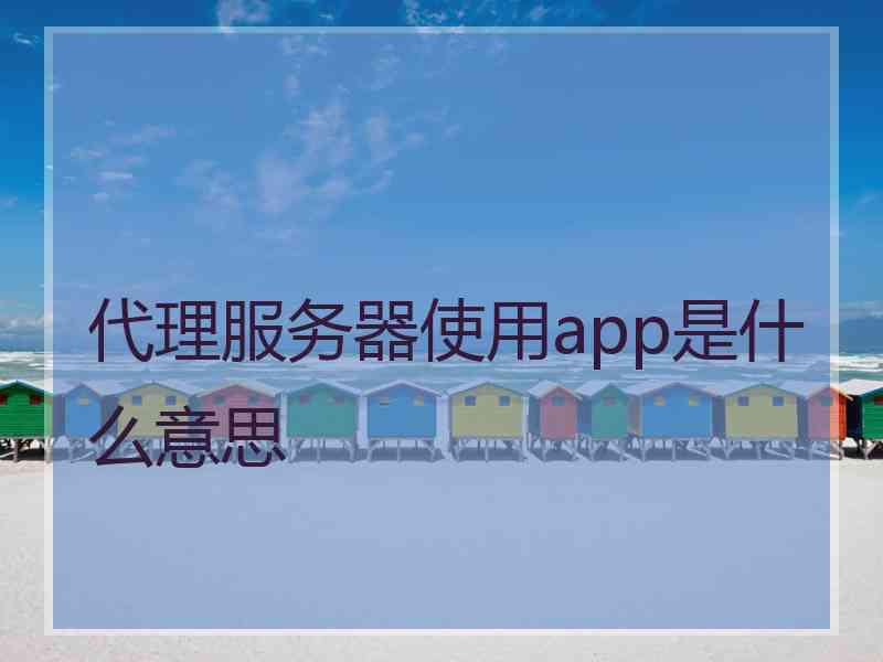 代理服务器使用app是什么意思