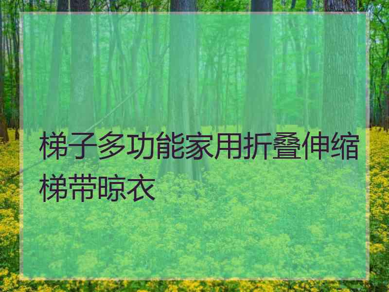 梯子多功能家用折叠伸缩梯带晾衣