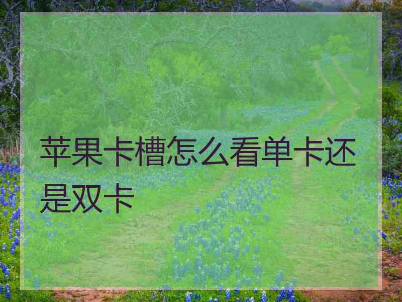 苹果卡槽怎么看单卡还是双卡