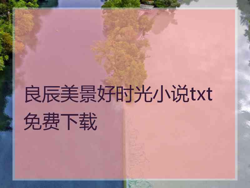 良辰美景好时光小说txt免费下载