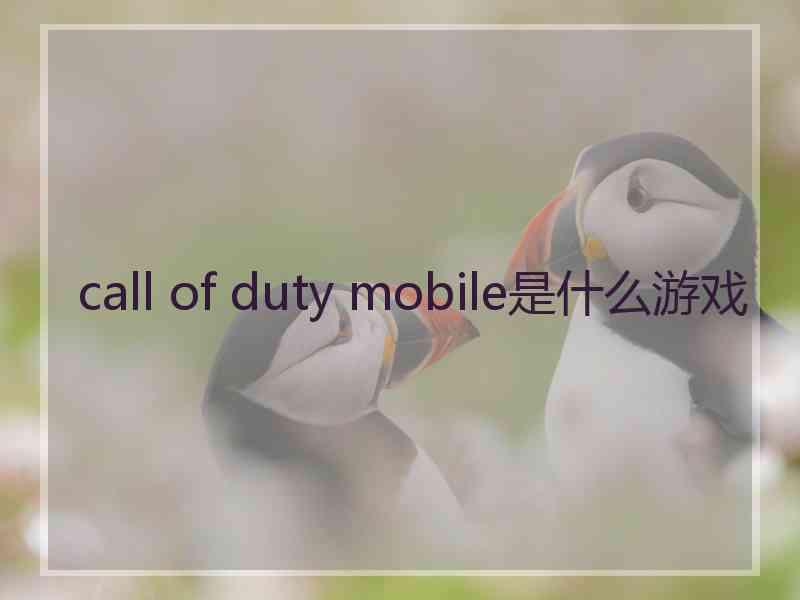 call of duty mobile是什么游戏