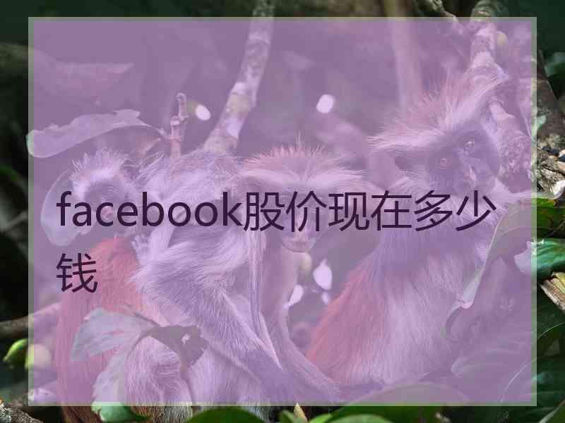 facebook股价现在多少钱