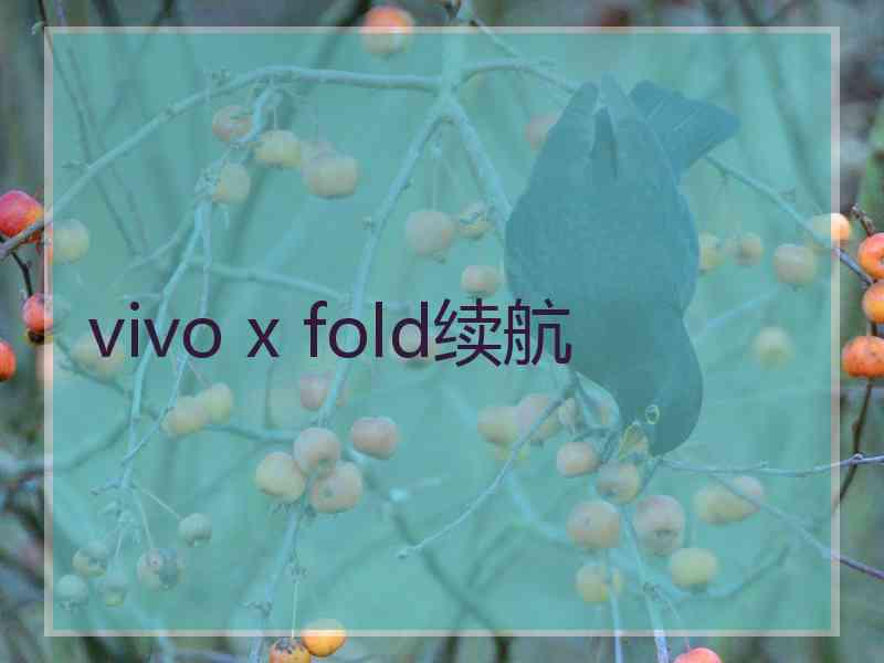 vivo x fold续航