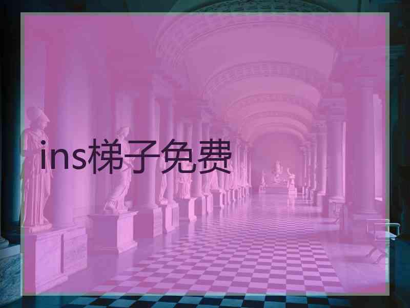 ins梯子免费